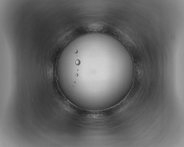 X0000110690745200906191507