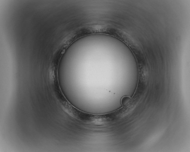 X0000110690746200906191507