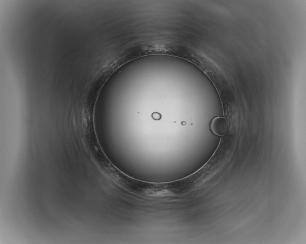 X0000110690747200906191507