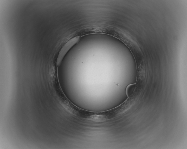 X0000110690748200906191507