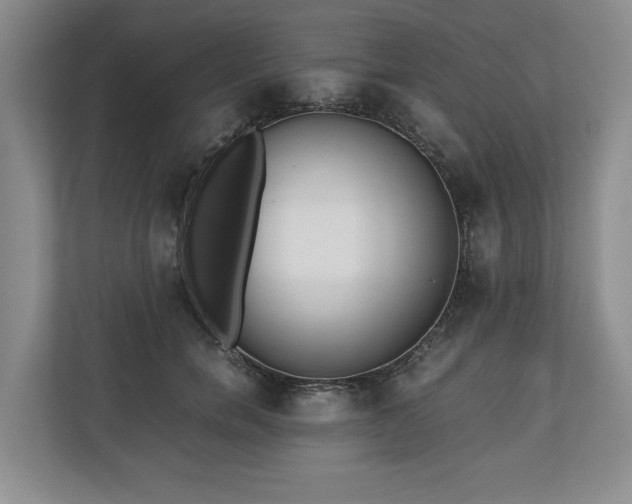 X0000110690750200906191507