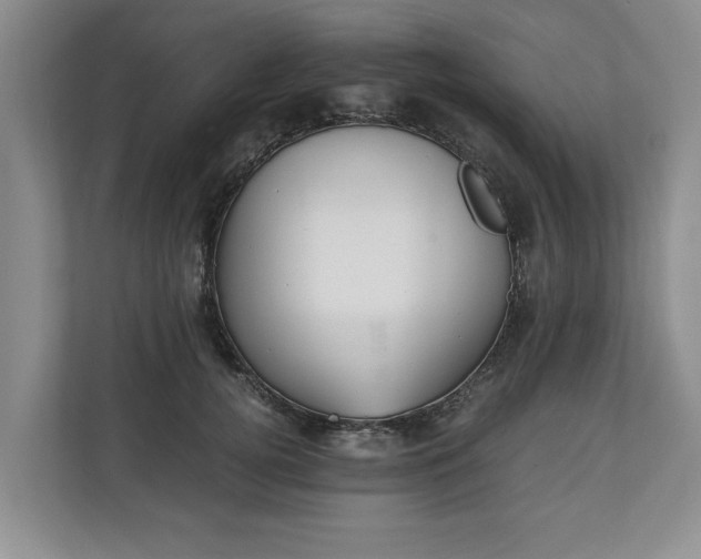 X0000110690752200906191507