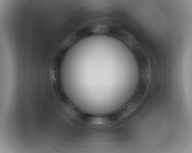 X0000110690755200906191507