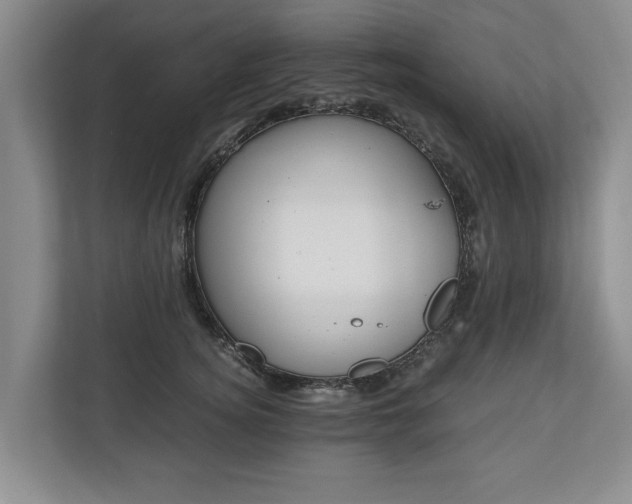 X0000110690756200906191507