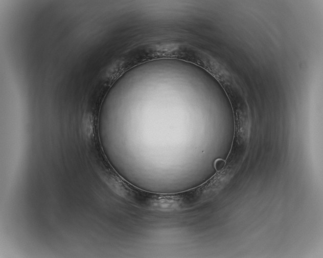 X0000110690758200906191507