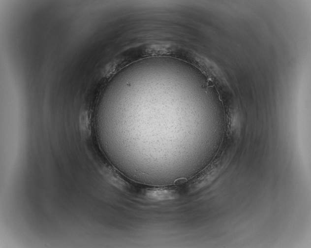 X0000110690759200906191507