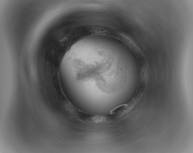 X0000110690762200906191507