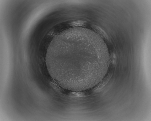 X0000110690763200906191507