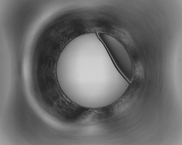 X0000110690764200906191507