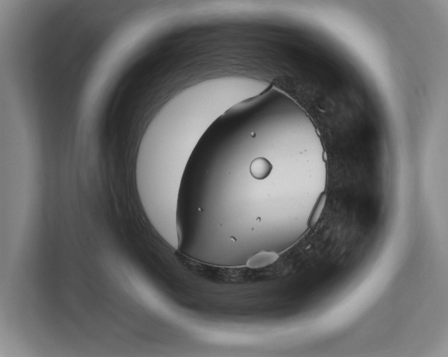 X0000110690766200906191507