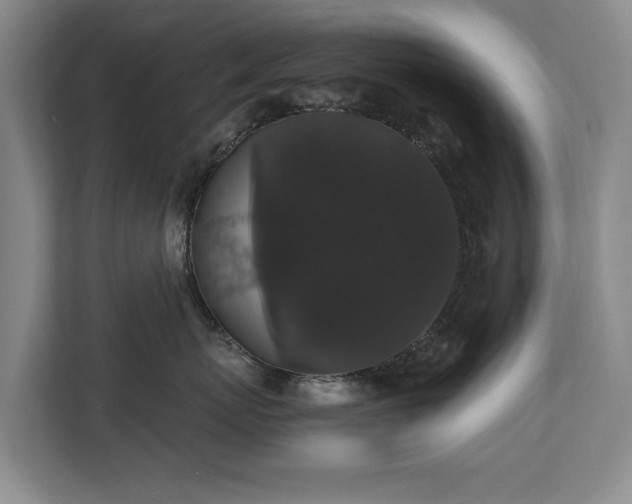 X0000110690767200906191507