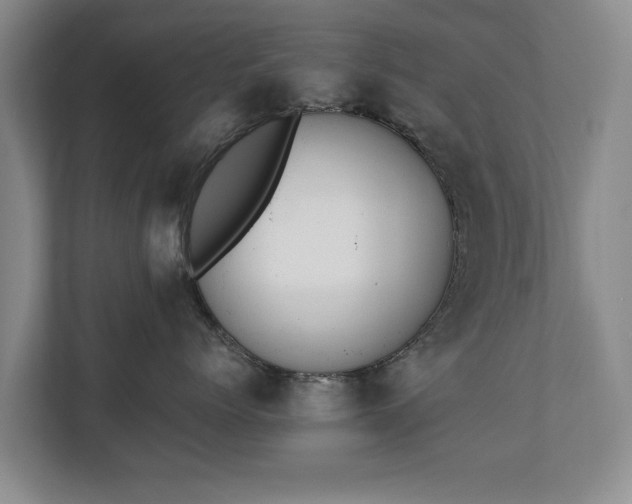 X0000110690768200906191507