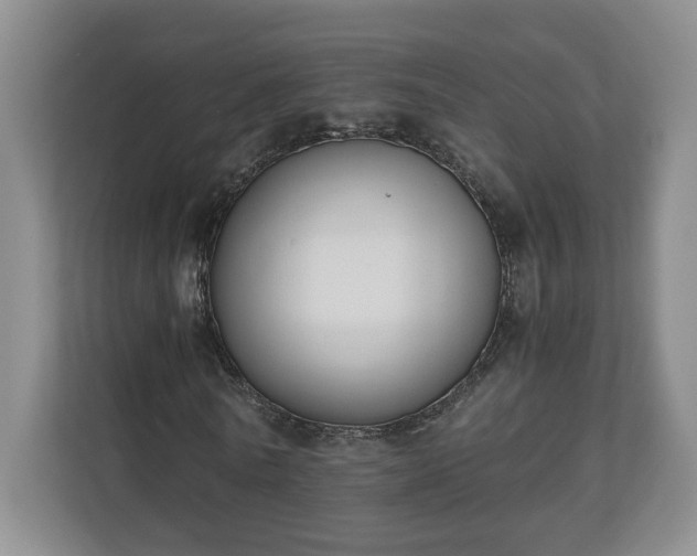 X0000110690770200906191507