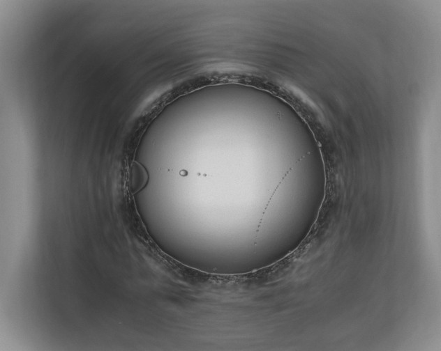 X0000110690775200906191506