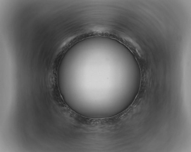 X0000110690776200906191506