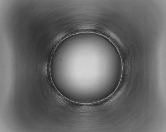 X0000110690777200906191506