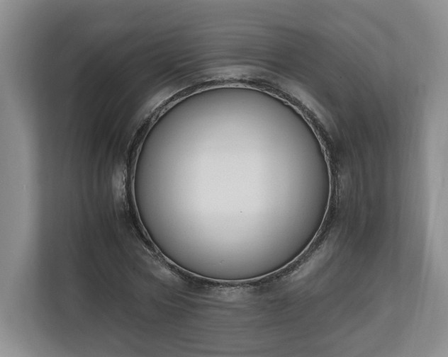 X0000110690778200906191506