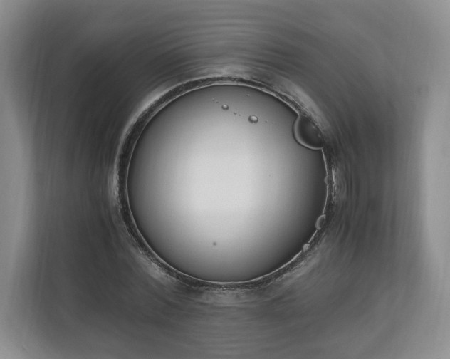 X0000110690780200906191506