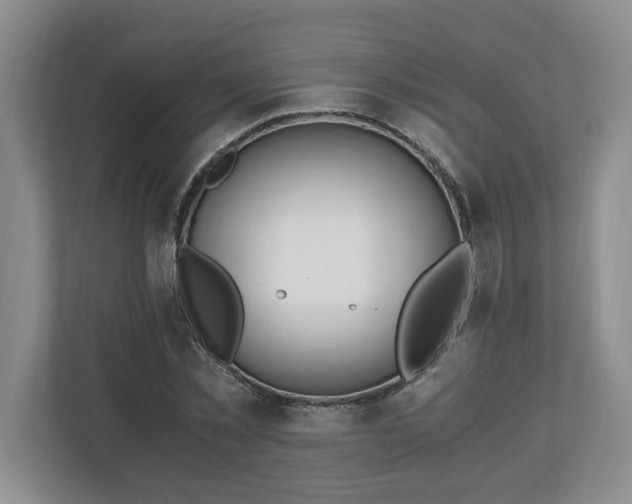 X0000110690781200906191506