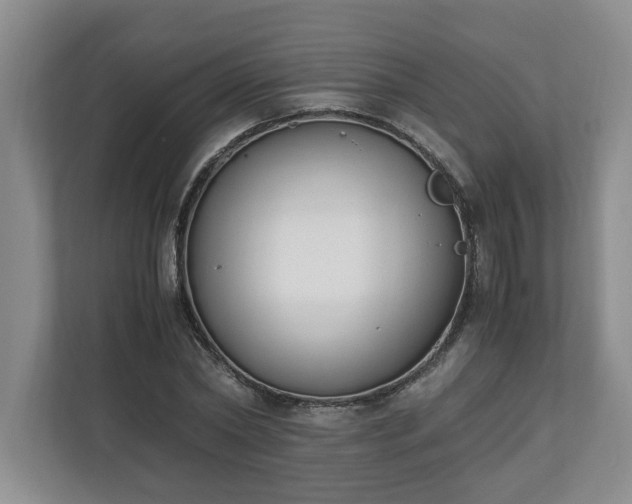 X0000110690782200906191506