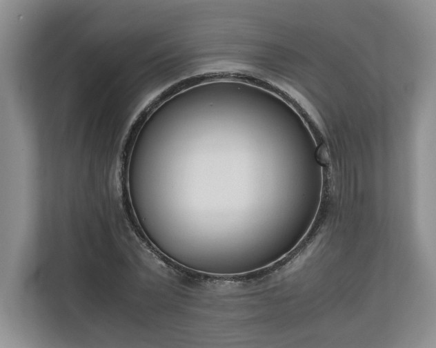 X0000110690783200906191506