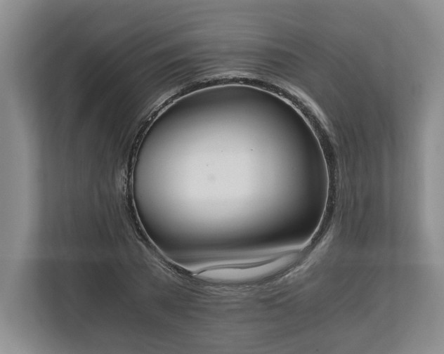 X0000110690785200906191506