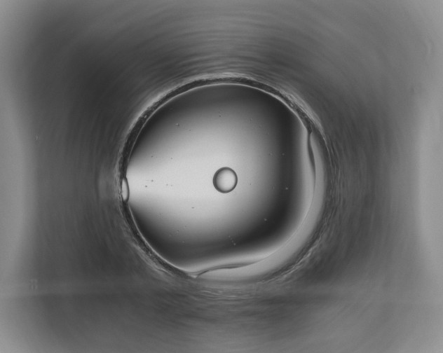 X0000110690789200906191506