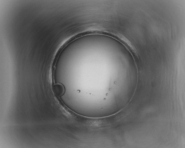 X0000110690791200906191506