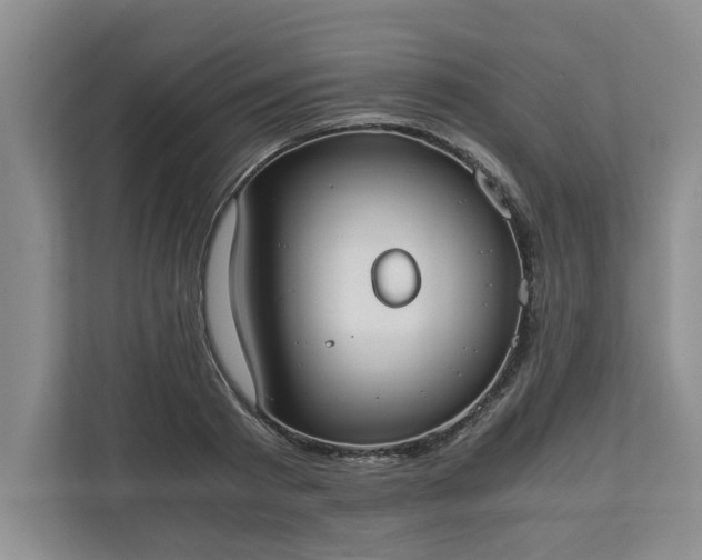 X0000110690793200906191506