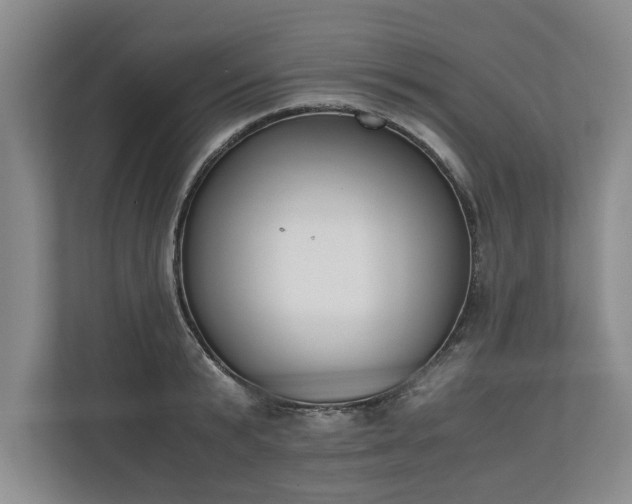 X0000110690799200906191506