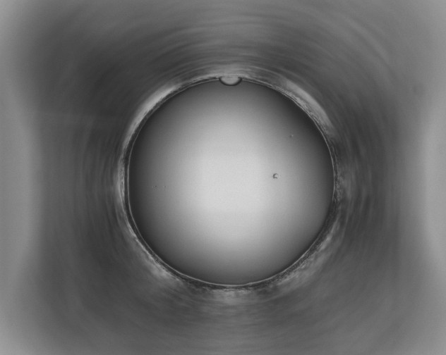 X0000110690804200906191506