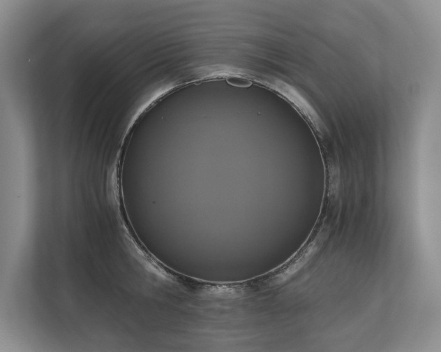 X0000110690806200906191506