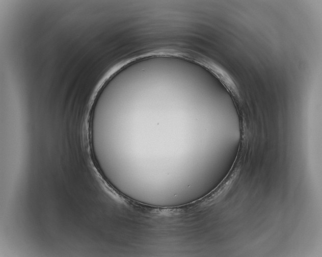 X0000110690808200906191506