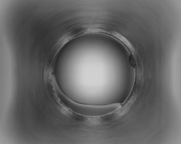 X0000110690809200906191506