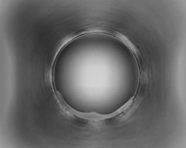 X0000110690813200906191506