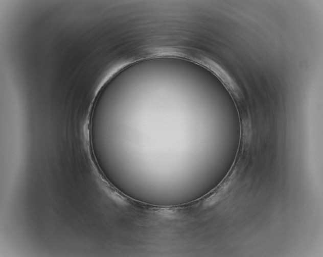 X0000110690814200906191506