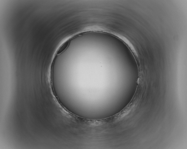 X0000110690815200906191506