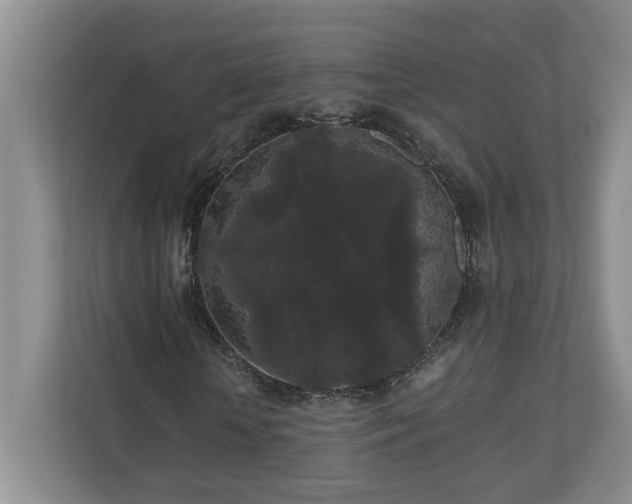 X0000110690818200906191505