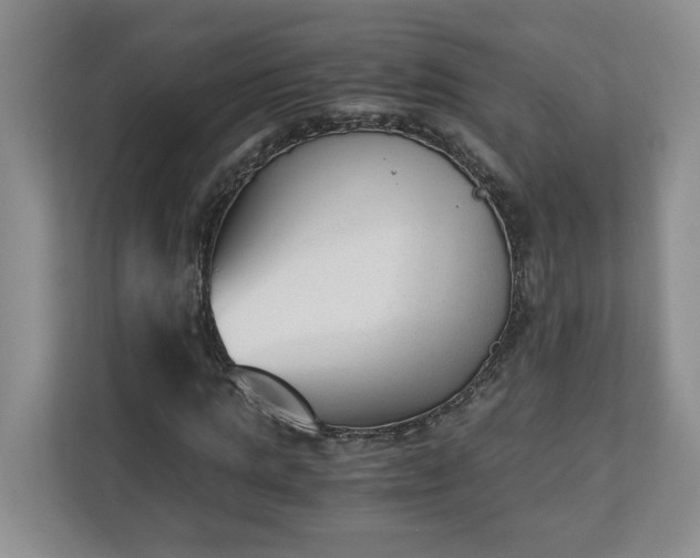 X0000110690821200906191505