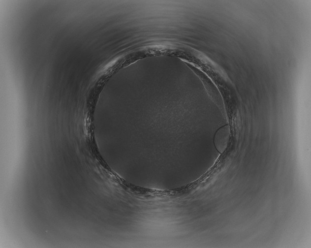 X0000110690822200906191505