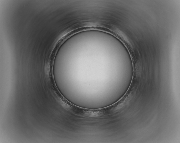 X0000110690831200906191505