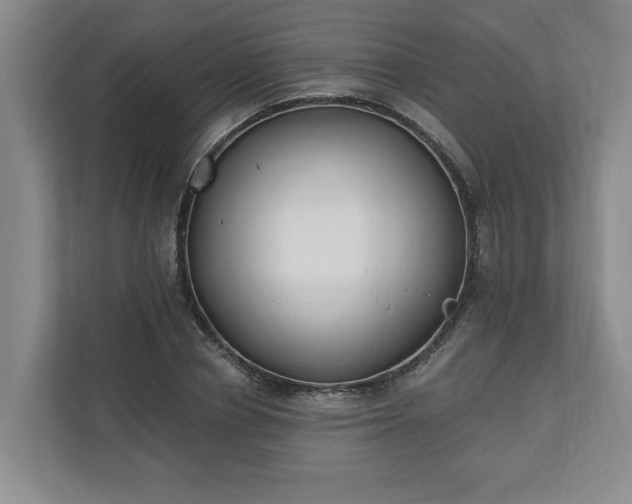 X0000110690834200906191506