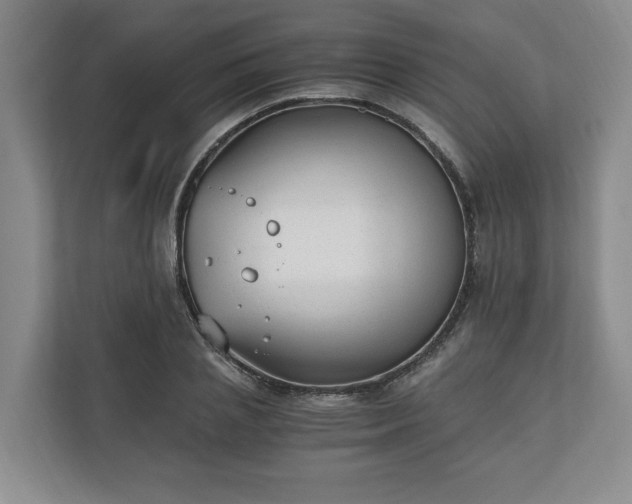 X0000110690837200906191506