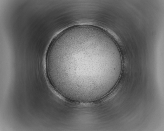 X0000110690840200906191506