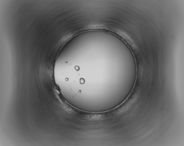 X0000110690841200906191506