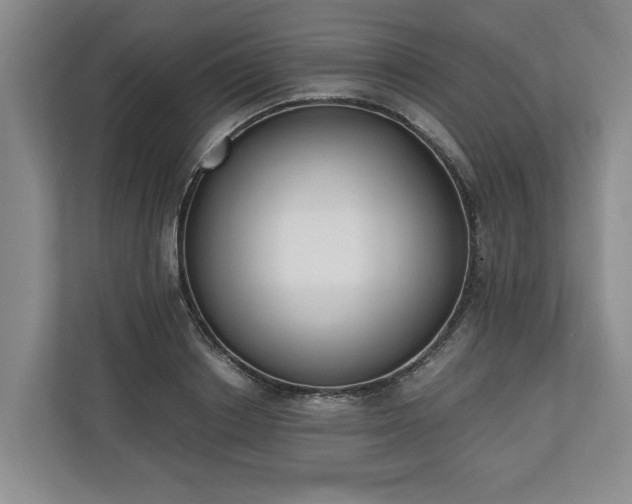 X0000110690842200906191506