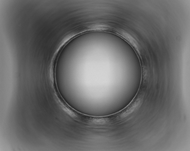 X0000110690843200906191506