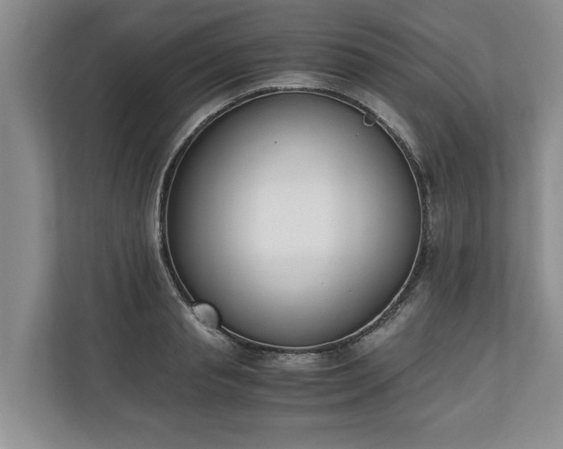 X0000110690845200906191506