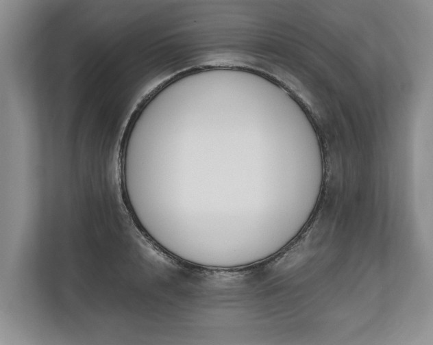 X0000110690848200906191506