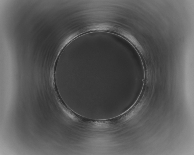 X0000110690850200906191506